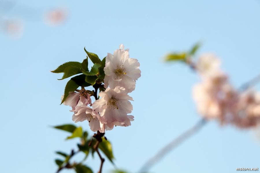 2012-03-24 17-51-38_smx.JPG